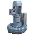 Воздуходувка FPZ K12-TS-GVR-11.00-Flex-coupling-Vertical-IE2