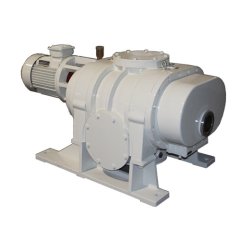 Вакуумный насос EVP ZJ-300 2 stage